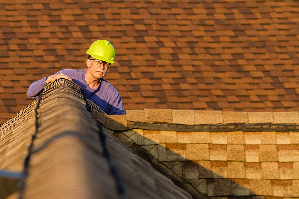 Best Roof Gutter Cleaning  in Rhome, TX
